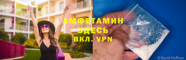 spice Пересвет