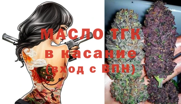 индика Переславль-Залесский