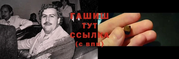 индика Переславль-Залесский