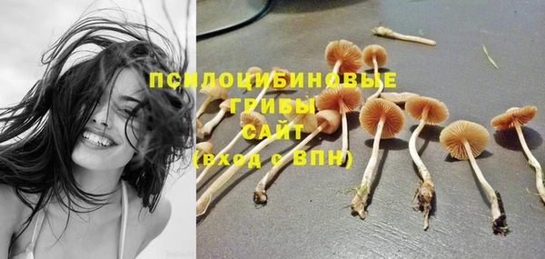 spice Пересвет